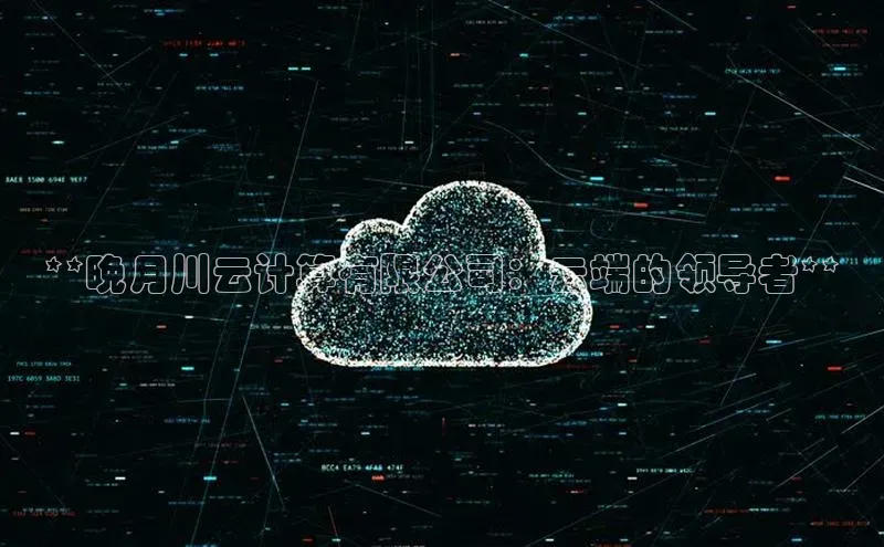 金年会金字招牌诚信至上欢迎您顺丰**晚月川云计算有限公司：云端的领导者**