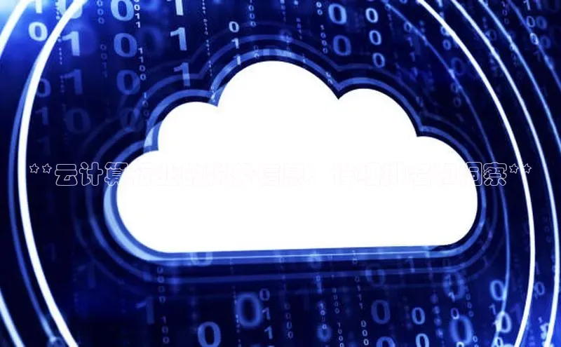 金年会 金字招牌诚信至上网易**云计算行业的税务信息：详细排名和洞察**