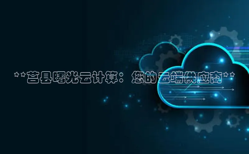 金年会官网登录入口百度手机输入法**莒县曙光云计算：您的云端供应商**