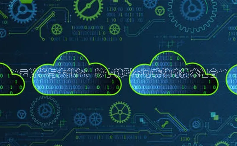 金年会体育百度集团**云计算与大数据：数字转型不可或缺的技术组合**
