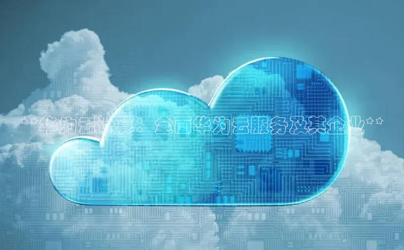 金年会电子游戏app诸葛科技**华为云计算：全面华为云服务及其企业**