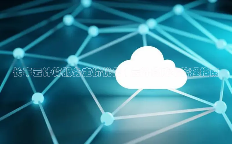金年会vip轻美电器长丰云计算服务定价优化 | 云计算成本管理指南