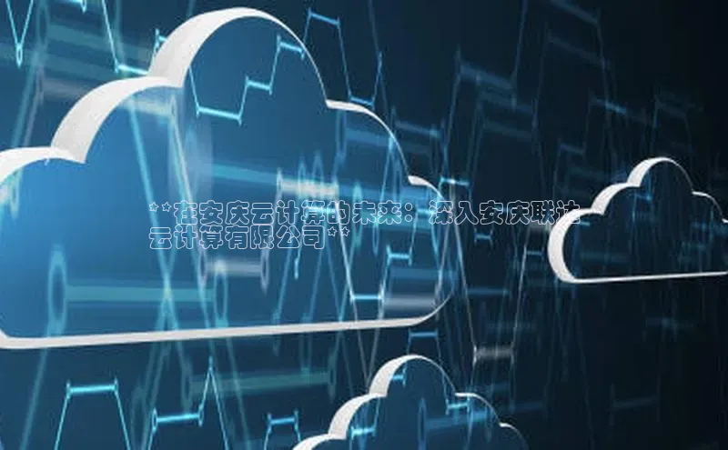 金年会金字招牌诚信至上金山办公**在安庆云计算的未来：深入安庆联达
云计算有限公司**