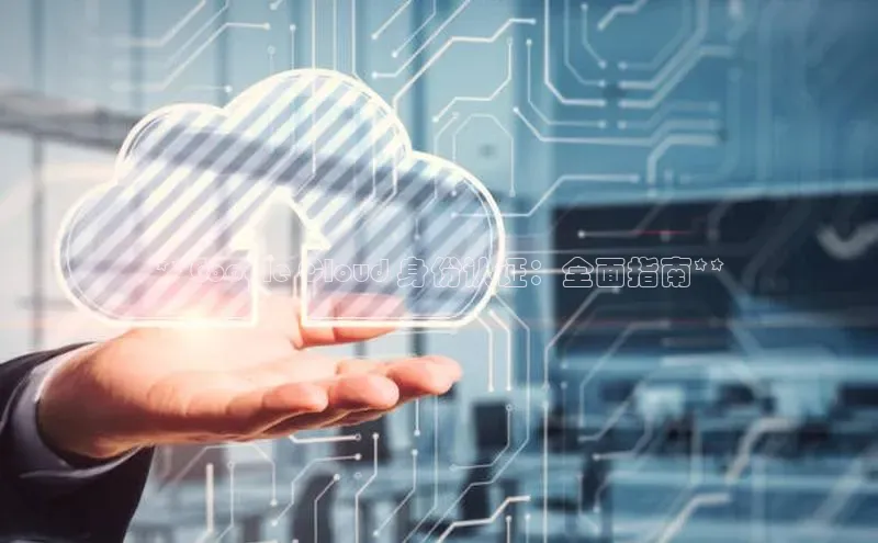 金年会58同城**Google Cloud 身份认证：全面指南**