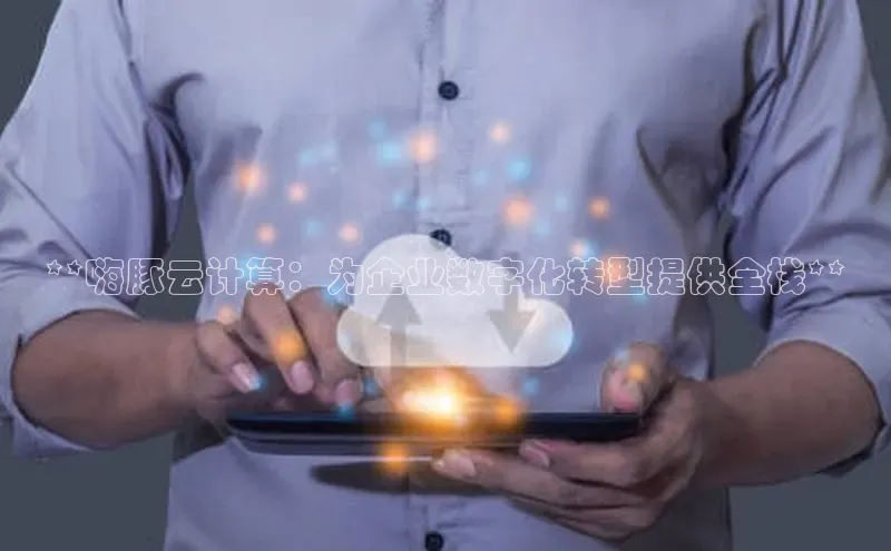 金年会诚信信誉至上雷柏科技**嗨豚云计算：为企业数字化转型提供全栈**