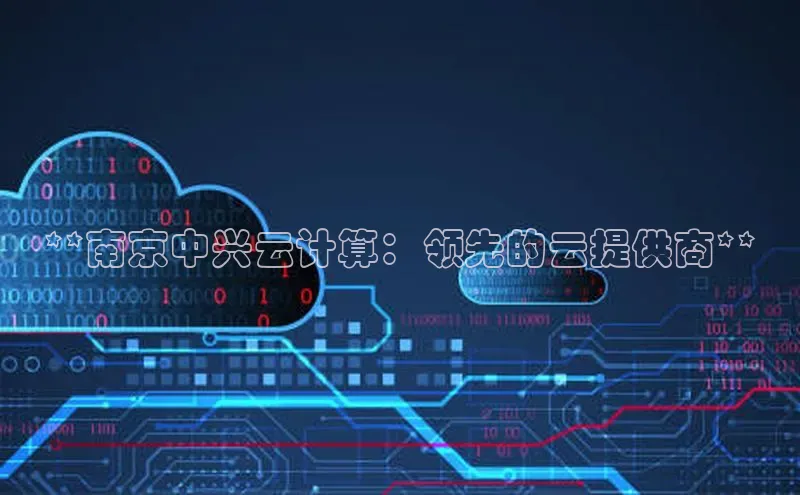 金年会vip百度百聘**南京中兴云计算：领先的云提供商**