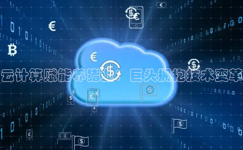 金年会哇咔哇咔文化云计算赋能养猪业：巨头拥抱技术变革