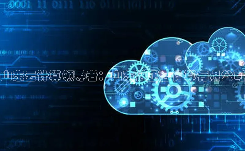 金年会官方网站入口汉得信息山东云计算领导者：山东链正云计算有限公司