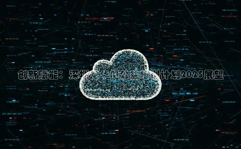 创新赋能：深圳龙华AI公益培训计划2025展望